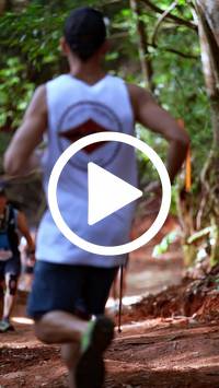 BIB:  <button type="button" onclick="openModal(27384441)" class="btn btn-primary btn-sm float-right" data-toggle="modal" data-target=".modal-high-quality">
                <i class="fa fa-download"></i> Download
                </button>